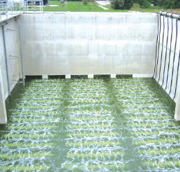 Yüksek Verimli ve Uzun Ömürlü: AEROSTRIP - İnce Kabarcıklı Difüzörler Yüksek Verimli ve Uzun Ömürlü: AEROSTRIP - İnce Kabarcıklı Difüzörler