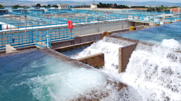 Akifer İzmit İçme Suyu Arıtma Tesisi Su Kalite Laboratuvarında Tehlikeli Atıklar