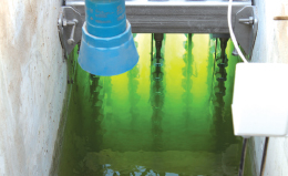 Sisdoz A.Ş. Dezenfeksiyon Projelerine Devam Ediyor!