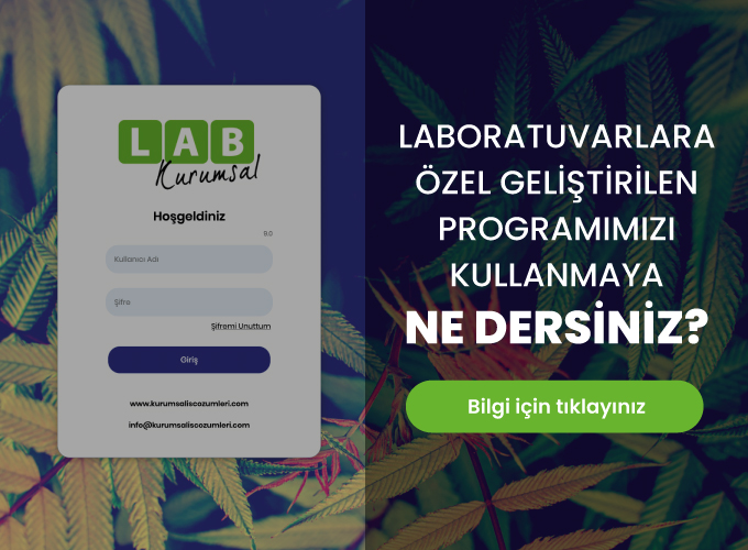 LAB KURUMSAL